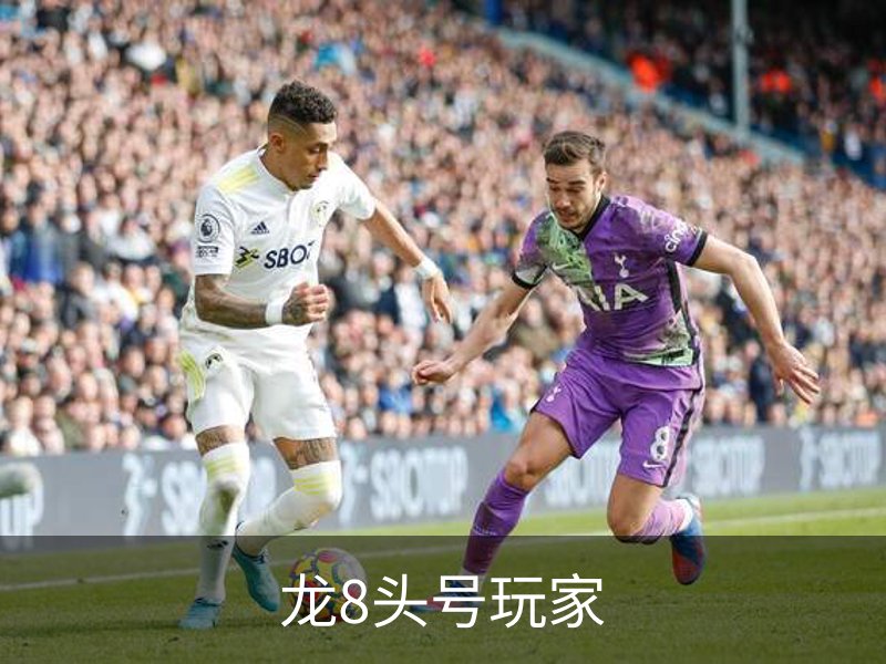 关于龙8头号玩家
